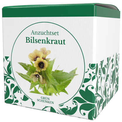 Anzuchtset Bilsenkraut